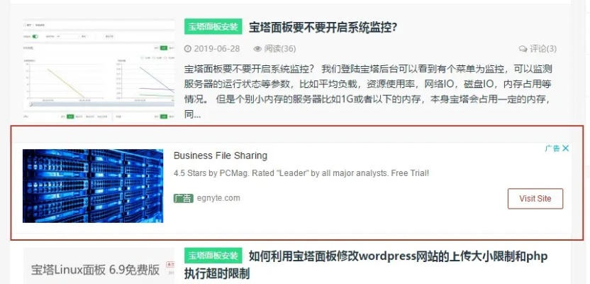 网站放谷歌广告，还可以放其他联盟广告吗？
