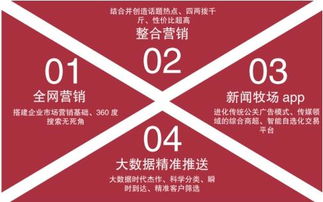 晨阳广告传媒，创意无限，引领传媒新风尚