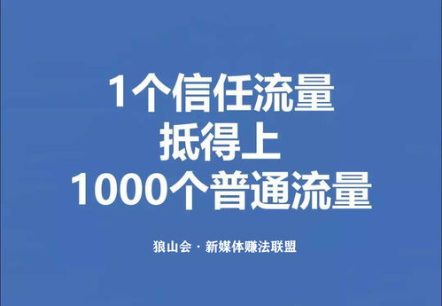 做广告联盟怎么赚钱，揭秘广告联盟盈利模式的深度解析