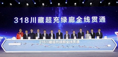 大拇指联盟，重塑信任与合作的数字时代新篇章