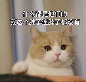 解析网站申请百度联盟与京东联盟审核被拒的原因及应对策略