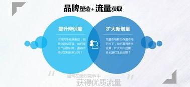 双赢安卓流量交易平台，解锁移动数据交易新纪元