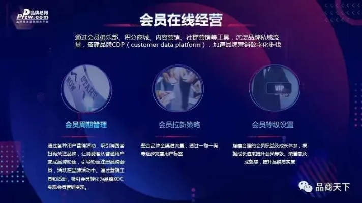 悦畅网盟，打造数字化时代下的全新社群生态