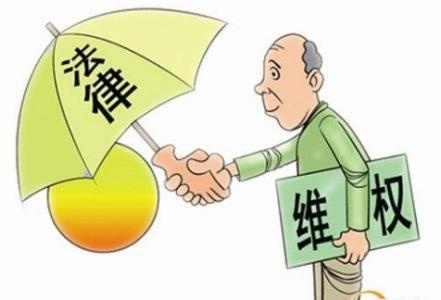 胜诉联盟，法律维权的新篇章