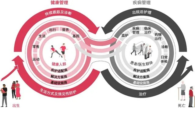 搏动网络平台，重塑数字时代下的健康管理与医疗服务
