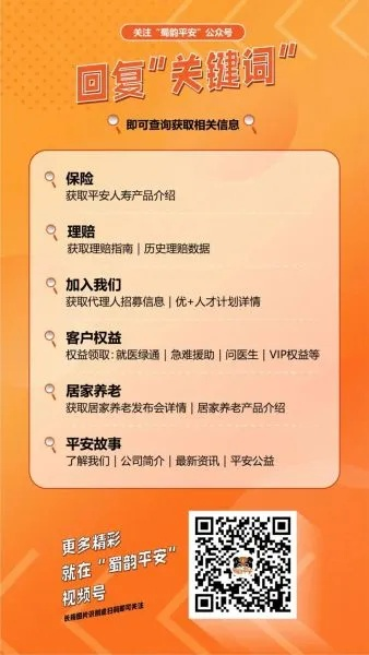 平安保险联盟广告申请全解析，从入门到精通