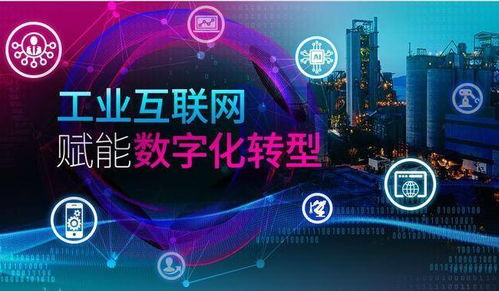 红宝石广告联盟，打造精准营销，引领数字时代广告新风尚