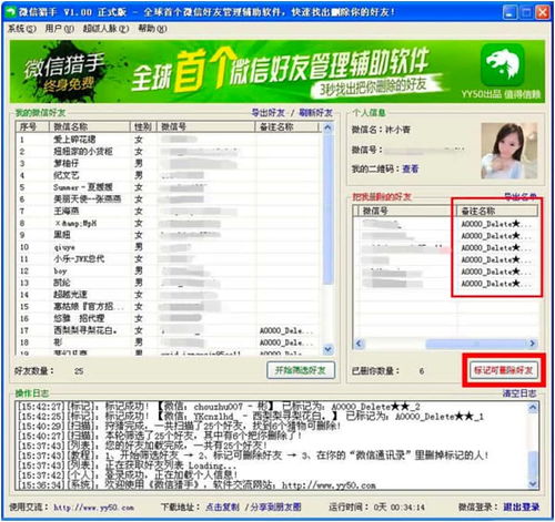 如何查看我的淘宝联盟，详细指南与常见问题解答
