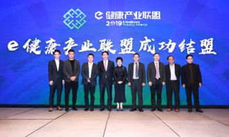 新安卓联盟，重塑移动生态，引领智能科技新纪元