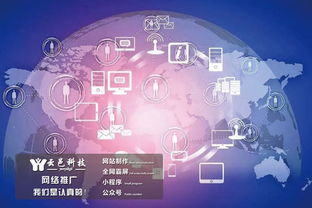 网络广告的种类及在新浪与搜狐的投放比较