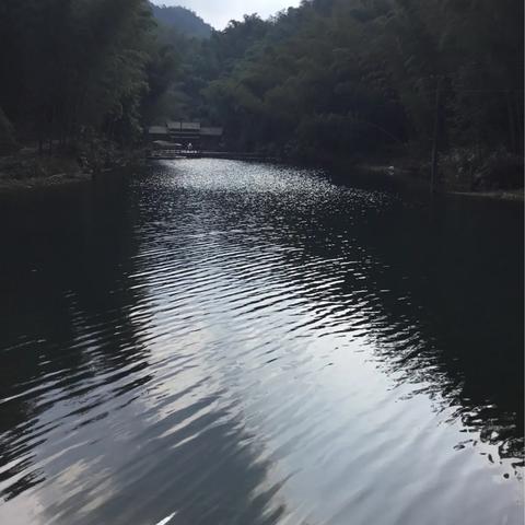 基地广告联盟，重塑数字营销新生态的先锋力量