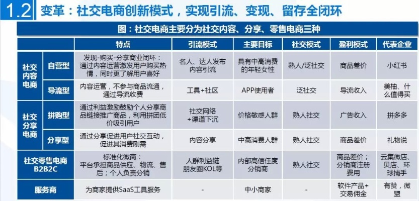 百击30日付联盟，重塑电商营销生态，引领高效转化新纪元