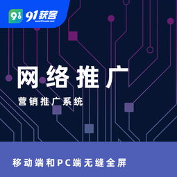 网络推广与网络广告的区别，深度解析与策略应用