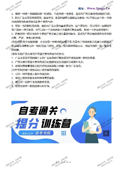 网络广告自考大纲及复习题详解