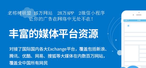 哪个广告联盟的程序比较好？深度剖析与推荐
