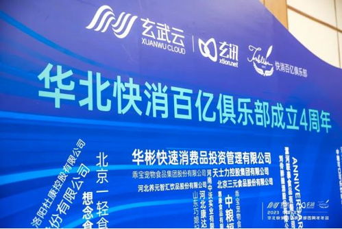 飞天马广告联盟，重塑数字营销新生态的领航者