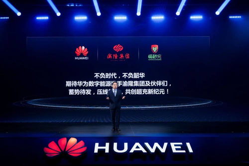 速度广告联盟，打造高效广告投放，引领数字营销新纪元