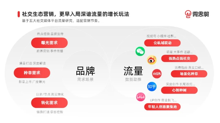 黑豆传媒，重塑数字营销生态的先锋力量