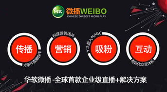 TTM移动广告联盟，重塑移动营销生态，引领未来广告趋势