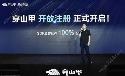 新站可以做广告联盟吗？探索新网站的广告合作之路