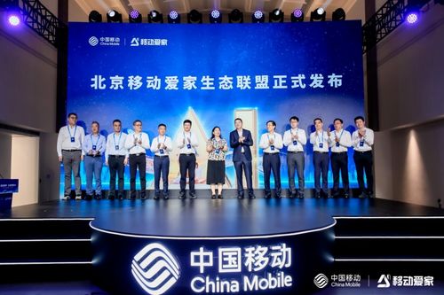 三网互动联盟，重塑数字时代生活的新篇章