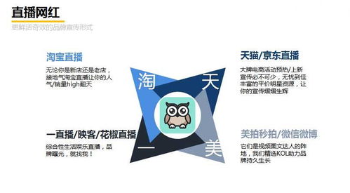 以文广告联盟，文字的力量，连接品牌与读者的桥梁