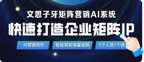 北极星广告联盟，引领数字营销新航向