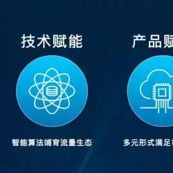 立赢广告联盟，打造高效广告生态，助力企业精准营销