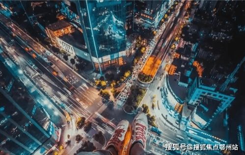 汇米网络，重塑数字时代的粮食供应链