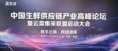 零稳联盟，重塑稳定与变革的平衡之道