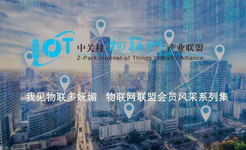 网络迷思，为何我的淘宝联盟无法访问，而其他网站却畅通无阻？