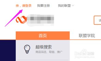 个人网站怎么用广告联盟赚钱（我是新手）