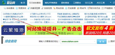 网络广告发布全攻略，从内容确定到服务商选择