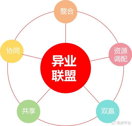 业搜联盟，重塑企业搜索生态，赋能商业决策新纪元