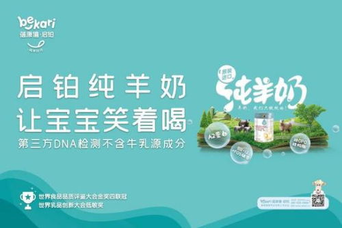 蓝猫广告联盟，打造高效营销生态，引领数字时代广告新风尚