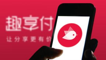 站长广告联盟，打造高效流量变现平台，助力网站主实现收益最大化