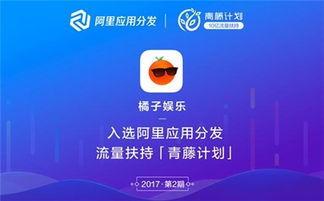 揭秘CPV广告联盟，高效流量变现与精准营销的新纪元