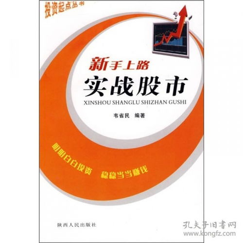 站长经验，从新手到高手的蜕变之路