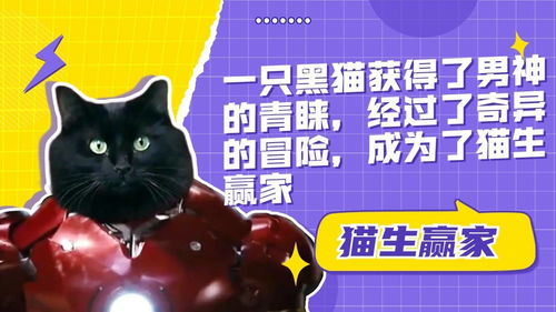 三个傻逼的奇妙冒险，从平凡到非凡的旅程