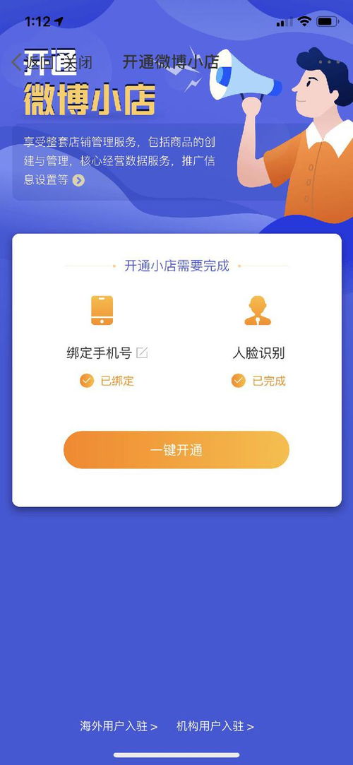构建高效广告联盟系统，提升流量变现与用户体验的秘诀