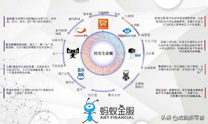 阿里联盟，重塑电商生态，引领数字商业新未来