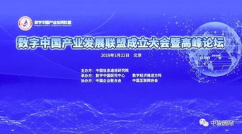 探索网络兼职联盟，机遇、挑战与未来趋势