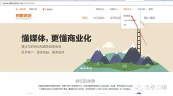 淘宝联盟推广，从零开始建立个人网站的实战指南
