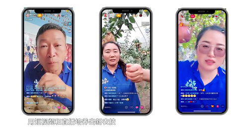 请问现在有些什么手机广告联盟呀？