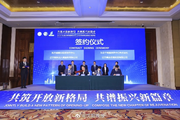 六月联盟论坛，重塑全球合作新蓝图