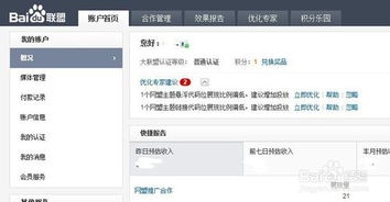 百度联盟投广告首次付多少钱，全面解析与策略建议