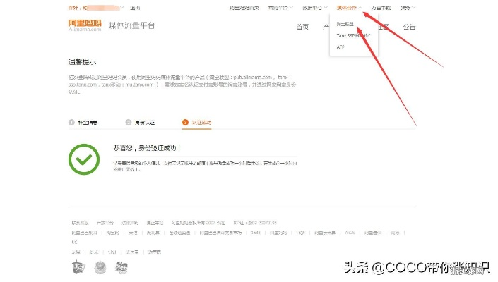 淘宝联盟网站推广提交审核流程及时间解析
