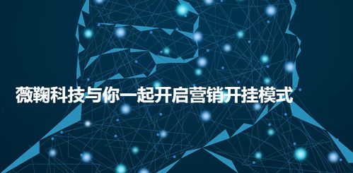 流量联盟，重塑互联网营销生态的共赢模式