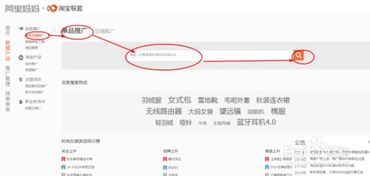 关于淘宝联盟网站备案号，深度解析与操作指南