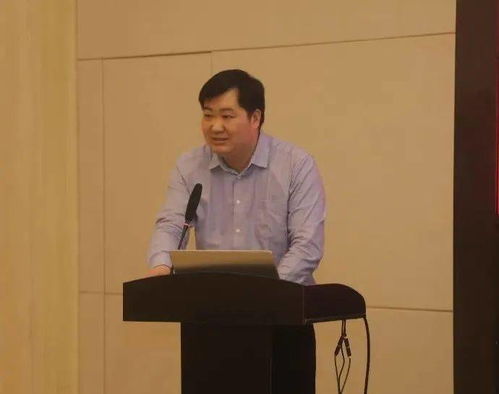 七五广告联盟，打造高效广告投放，助力企业精准营销
